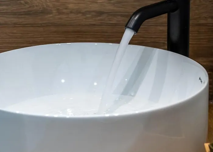 Aelia Elegant * 칼라마타